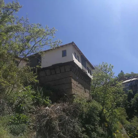 House Of Sokolovi *